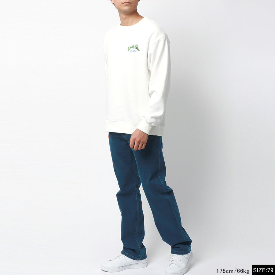 【大きいサイズ】Hanes へインズ ジーンズ メンズ デニムパンツ ジーパン ストレート ゆったり アメカジ ストレッチ 大きいサイズ 秋冬 ストレート デニム Gパン(5111120184)