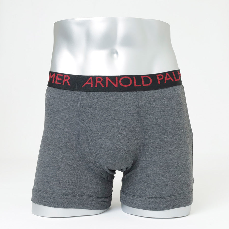 Arnold Palmer アーノルド パーマー ボクサーパンツ 2P 2枚組 メンズ アンダーウェア パンツ 下着 ブランド スポーツ ボクサーブリーフ 前開き 前あき（7821690048）