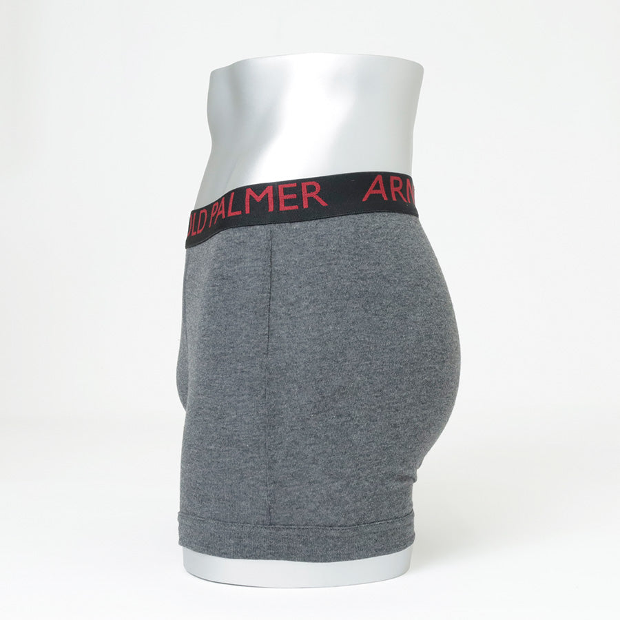 Arnold Palmer アーノルド パーマー ボクサーパンツ 2P 2枚組 メンズ アンダーウェア パンツ 下着 ブランド スポーツ ボクサーブリーフ 前開き 前あき（7821690048）