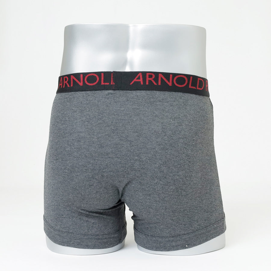 Arnold Palmer アーノルド パーマー ボクサーパンツ 2P 2枚組 メンズ アンダーウェア パンツ 下着 ブランド スポーツ ボクサーブリーフ 前開き 前あき（7821690048）